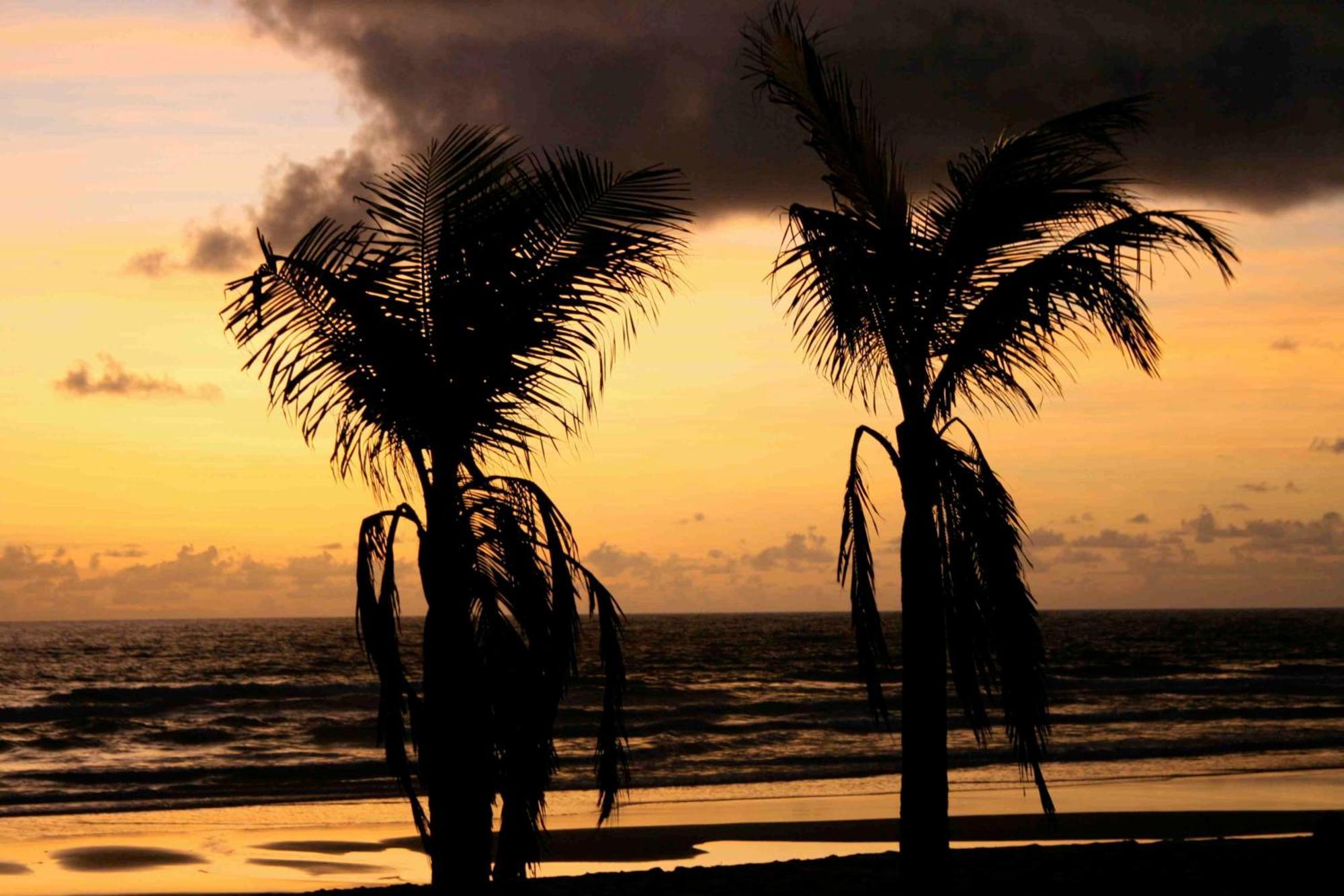 Dreamland Bungalows - Taipu De Fora - Barra Grande Exterior photo