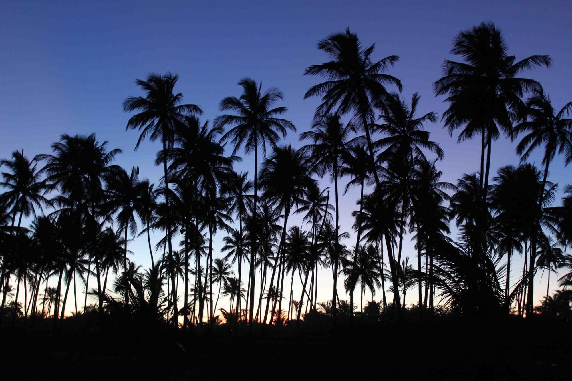 Dreamland Bungalows - Taipu De Fora - Barra Grande Exterior photo